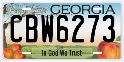 GA license plate CBW6273