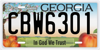 GA license plate CBW6301
