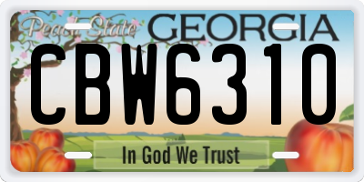 GA license plate CBW6310