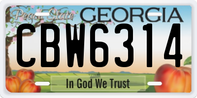 GA license plate CBW6314
