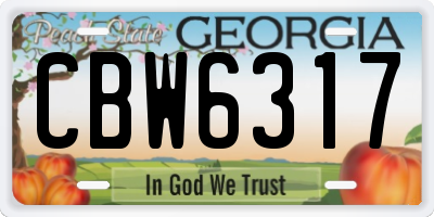 GA license plate CBW6317