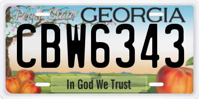 GA license plate CBW6343