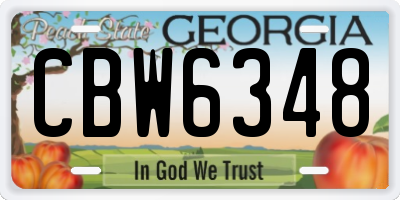 GA license plate CBW6348