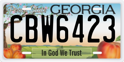 GA license plate CBW6423