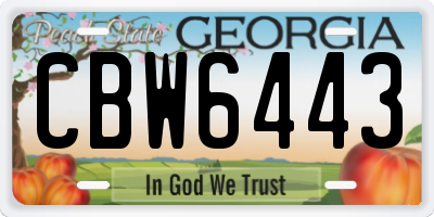 GA license plate CBW6443