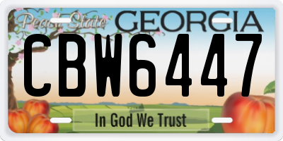 GA license plate CBW6447