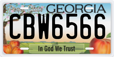 GA license plate CBW6566