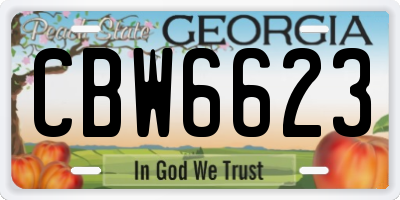 GA license plate CBW6623