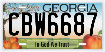 GA license plate CBW6687