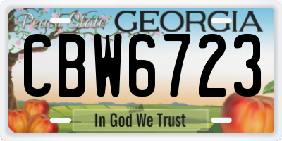 GA license plate CBW6723