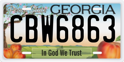 GA license plate CBW6863