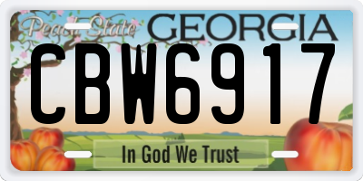 GA license plate CBW6917