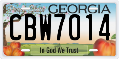 GA license plate CBW7014