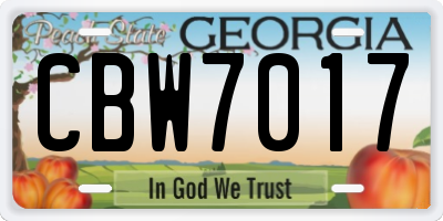 GA license plate CBW7017