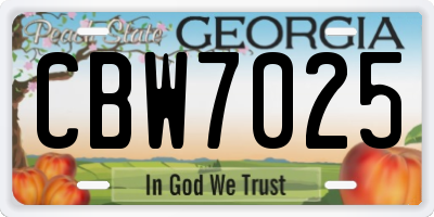 GA license plate CBW7025