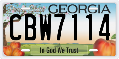 GA license plate CBW7114