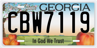 GA license plate CBW7119