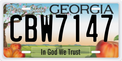 GA license plate CBW7147