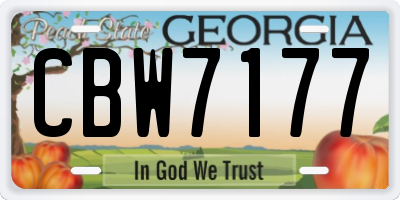 GA license plate CBW7177