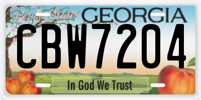 GA license plate CBW7204