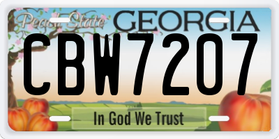 GA license plate CBW7207