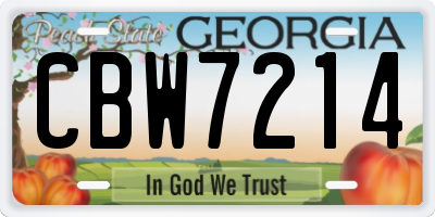 GA license plate CBW7214