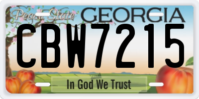 GA license plate CBW7215