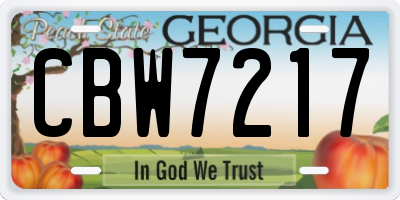 GA license plate CBW7217