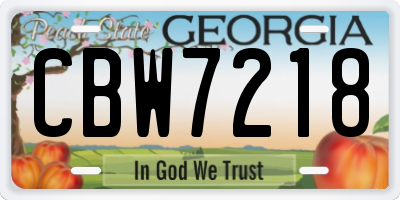 GA license plate CBW7218
