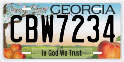 GA license plate CBW7234