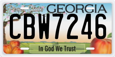 GA license plate CBW7246