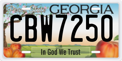 GA license plate CBW7250