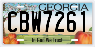 GA license plate CBW7261