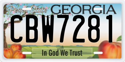 GA license plate CBW7281