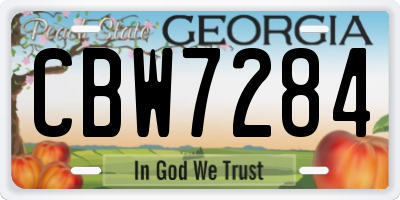 GA license plate CBW7284