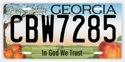 GA license plate CBW7285