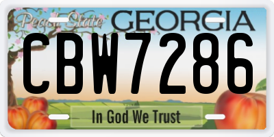 GA license plate CBW7286