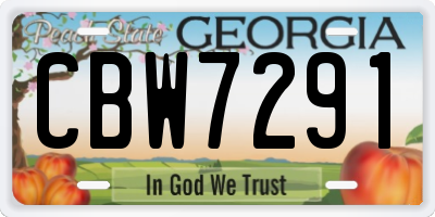 GA license plate CBW7291