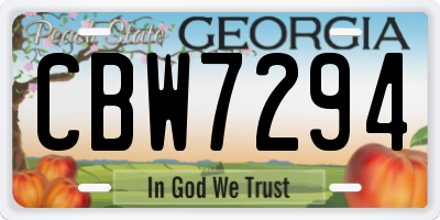 GA license plate CBW7294