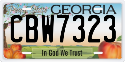 GA license plate CBW7323