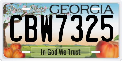 GA license plate CBW7325