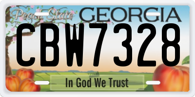 GA license plate CBW7328