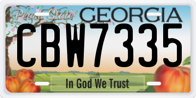 GA license plate CBW7335