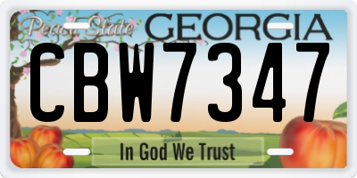 GA license plate CBW7347