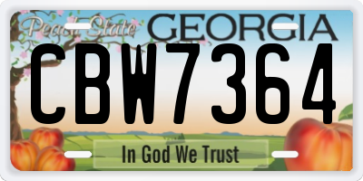 GA license plate CBW7364
