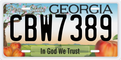 GA license plate CBW7389