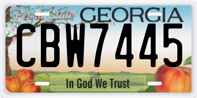 GA license plate CBW7445