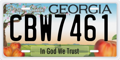 GA license plate CBW7461