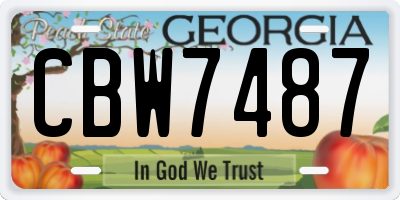 GA license plate CBW7487