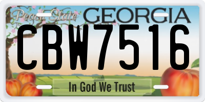 GA license plate CBW7516